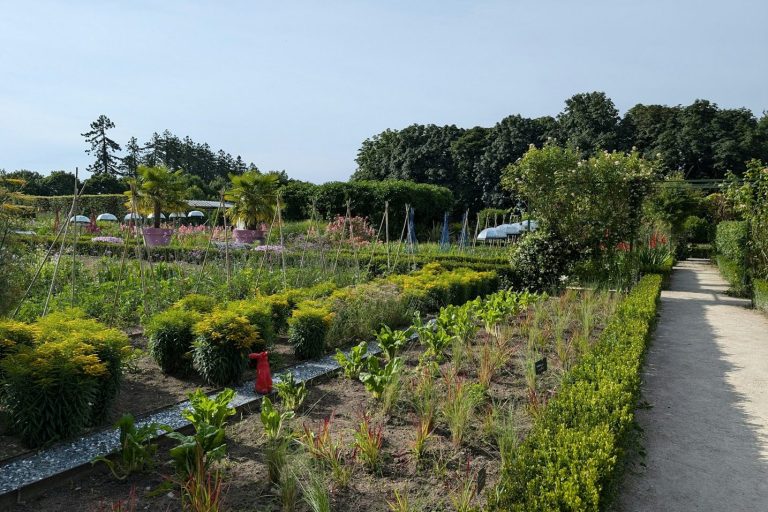 Permakulturgarten mit essbaren Pflanzen und Sträuchern.